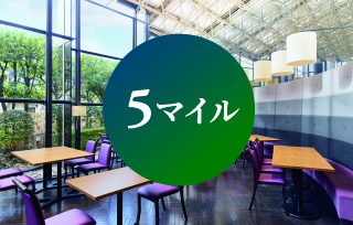 5マイル