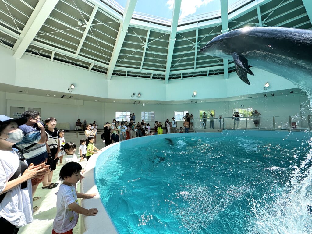 地域とともに、ノアドルフィンドーム「堺市民感謝DAY」を応援