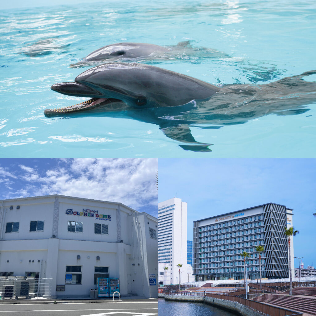 開業1周年ノアドルフィンドーム入館料無料＆優待券付き宿泊プラン